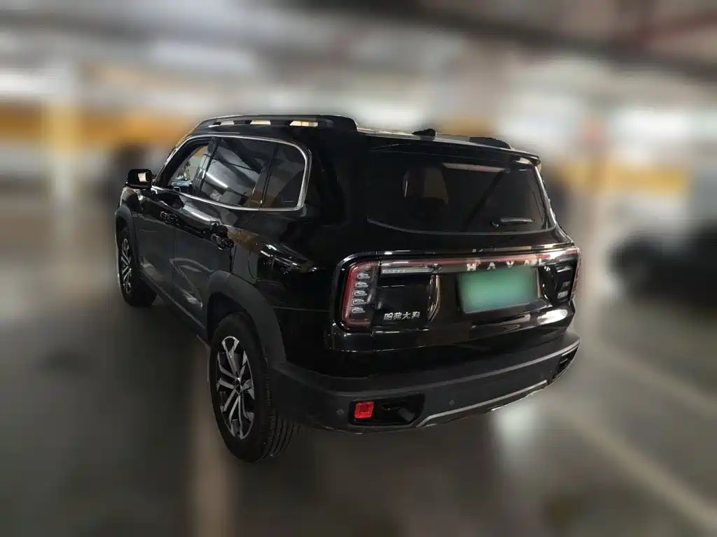 Haval Big Dog — миниатюра 25