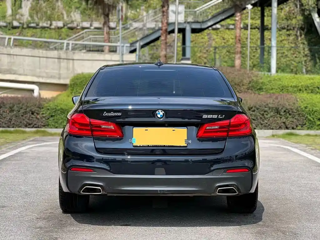 BMW 5 Series 5 2020 525Li M Sport