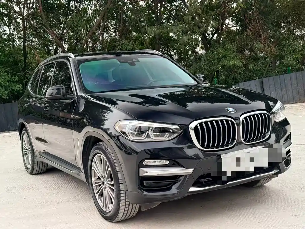 BMW X3 2018 xDrive28i Luxury VI