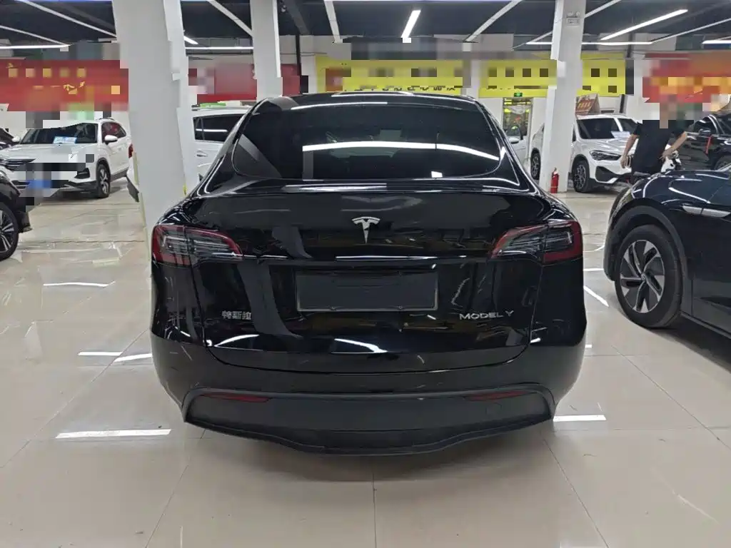 Tesla Model Y — миниатюра 6