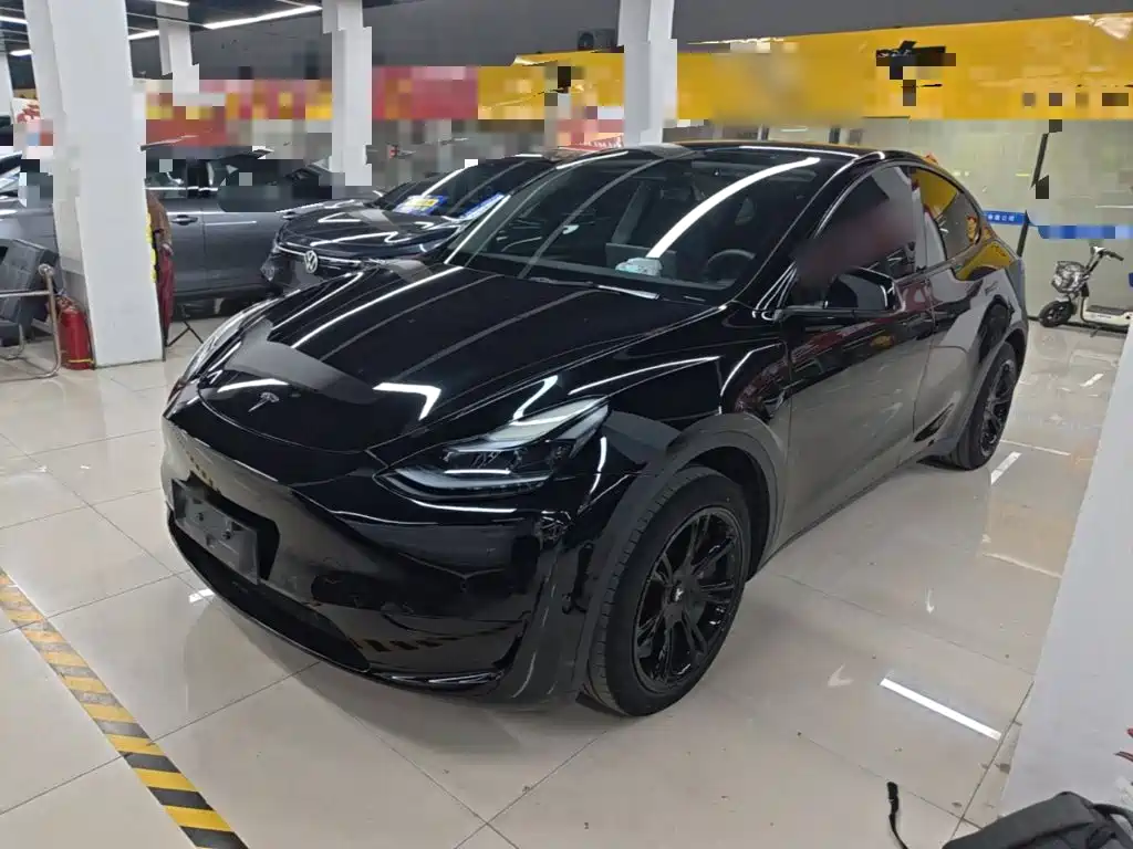 Tesla Model Y — миниатюра 2