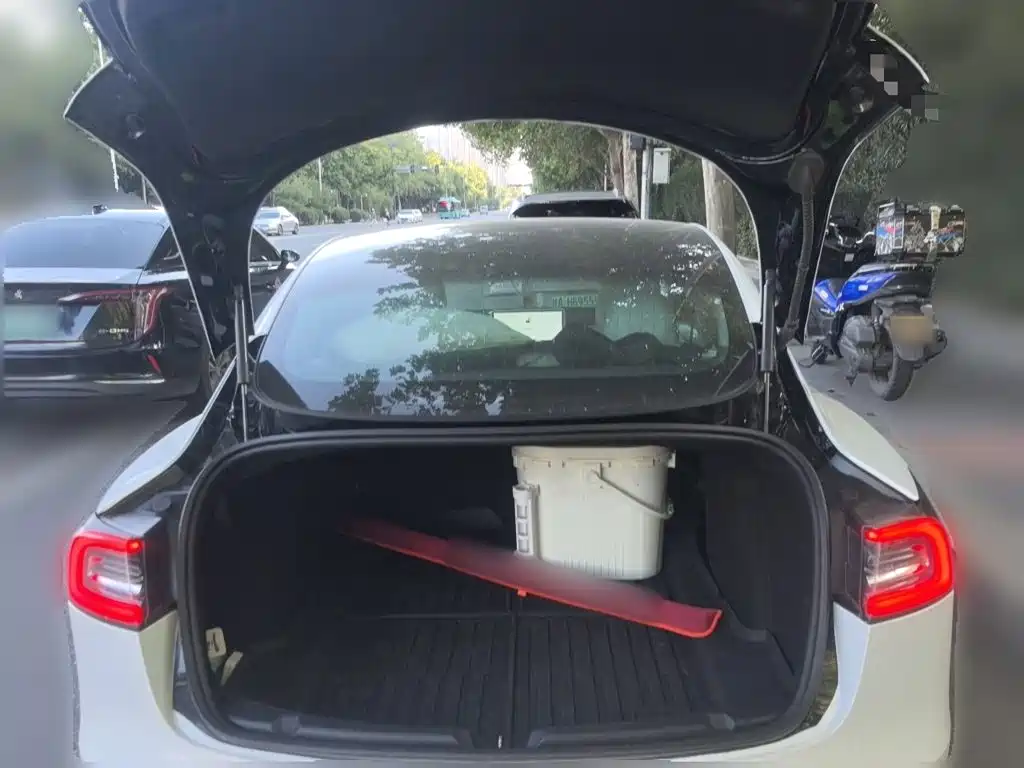 Tesla Model 3 — миниатюра 20