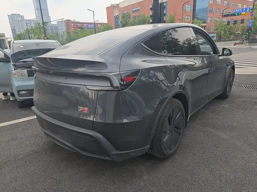 Tesla Model Y — миниатюра 7
