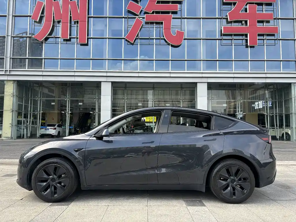 Tesla Model Y — миниатюра 6