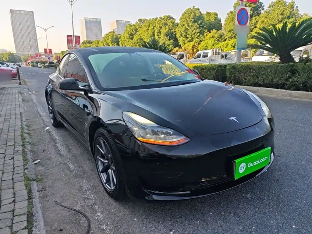 Tesla Model 3 — миниатюра 4