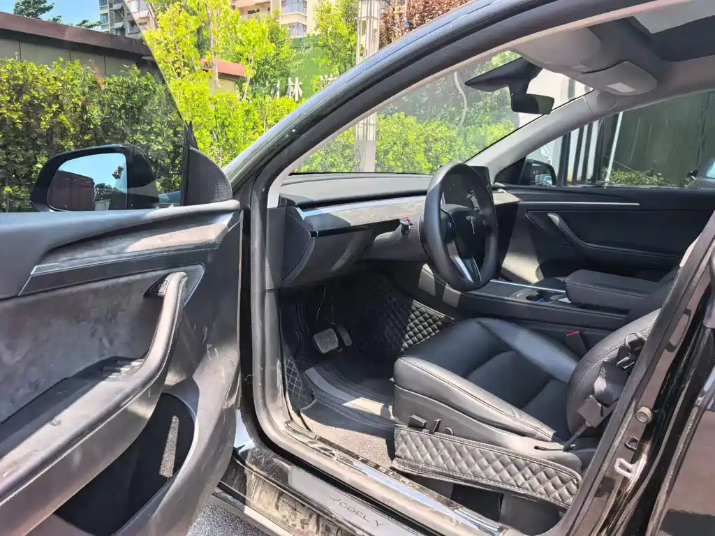 Tesla Model Y — миниатюра 7