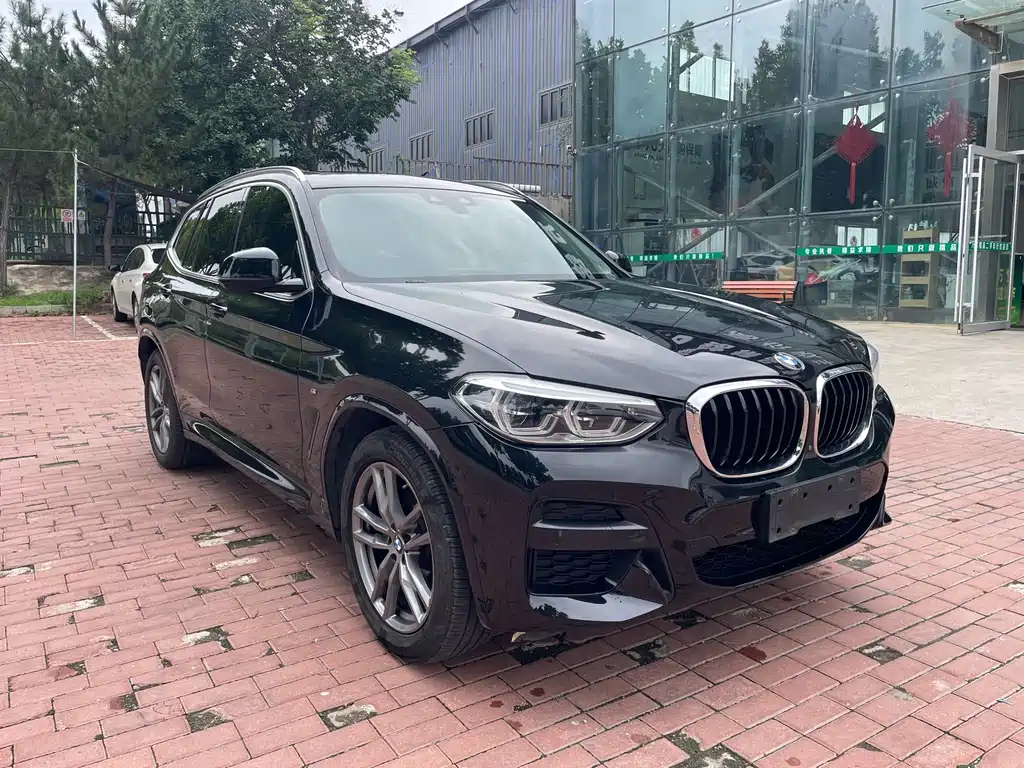 BMW X3 — миниатюра 3