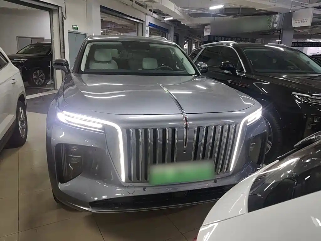 Hongqi Hongqi E-HS9 — миниатюра 3