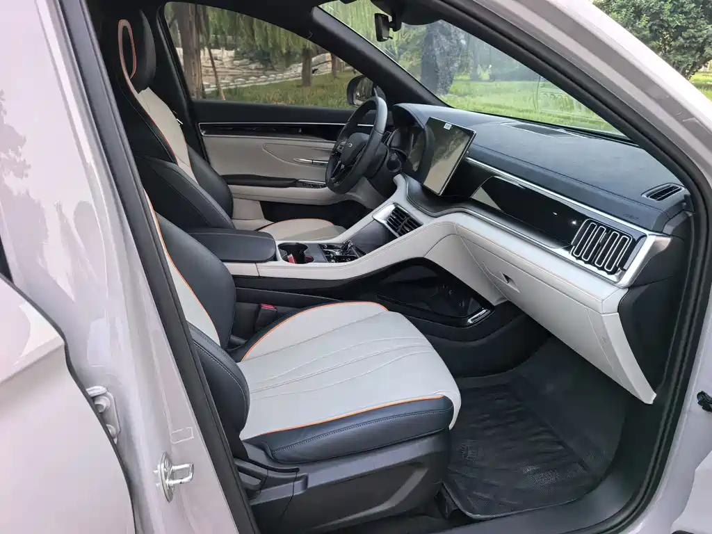 BYD PLUS New Energy — миниатюра 10
