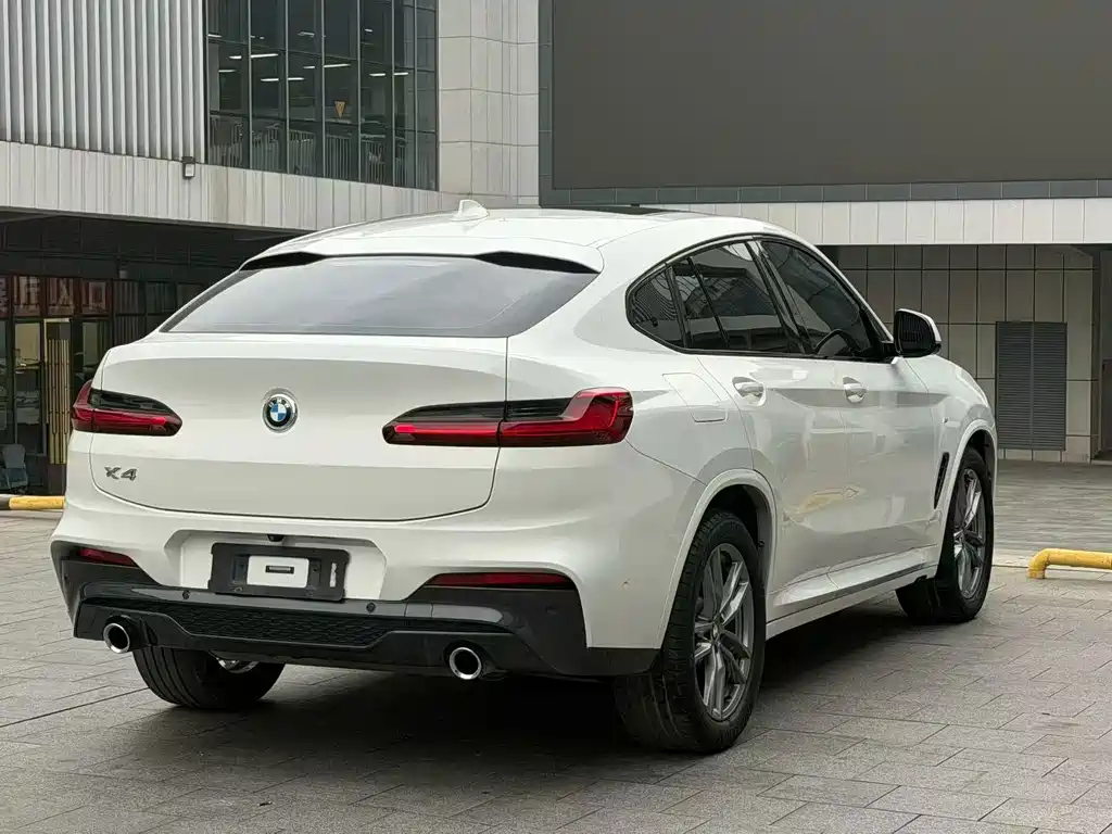 BMW X4 — миниатюра 8