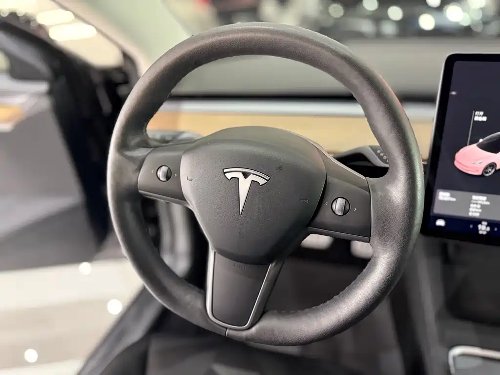 Tesla Model 3 — миниатюра 12