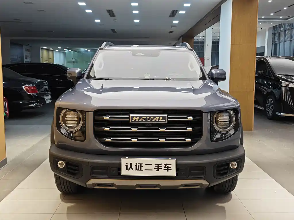 HAVAL BIG DOG