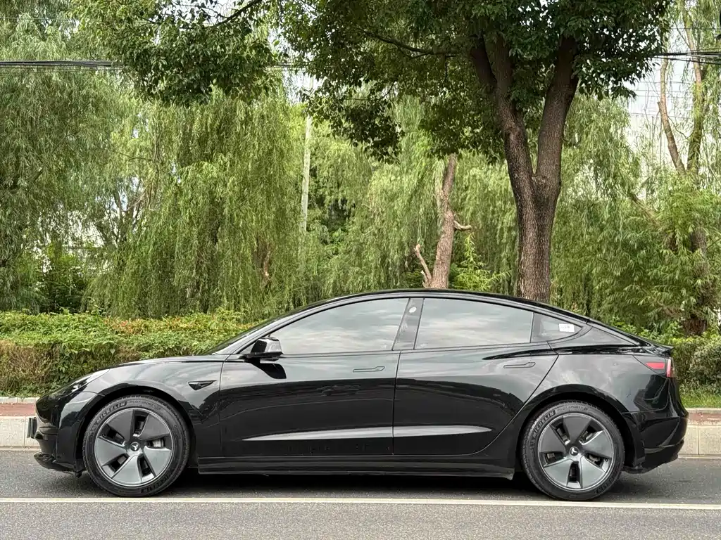 Tesla Model 3 — миниатюра 2