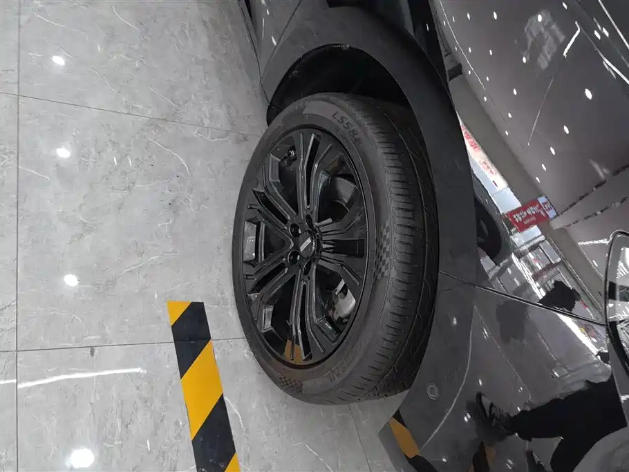 WEI PAI WEI BRAND VV5