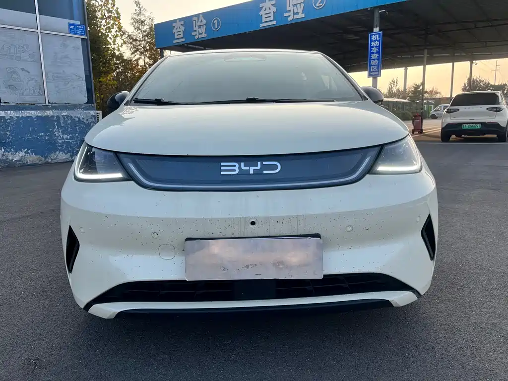 BYD Dolphin — миниатюра 2