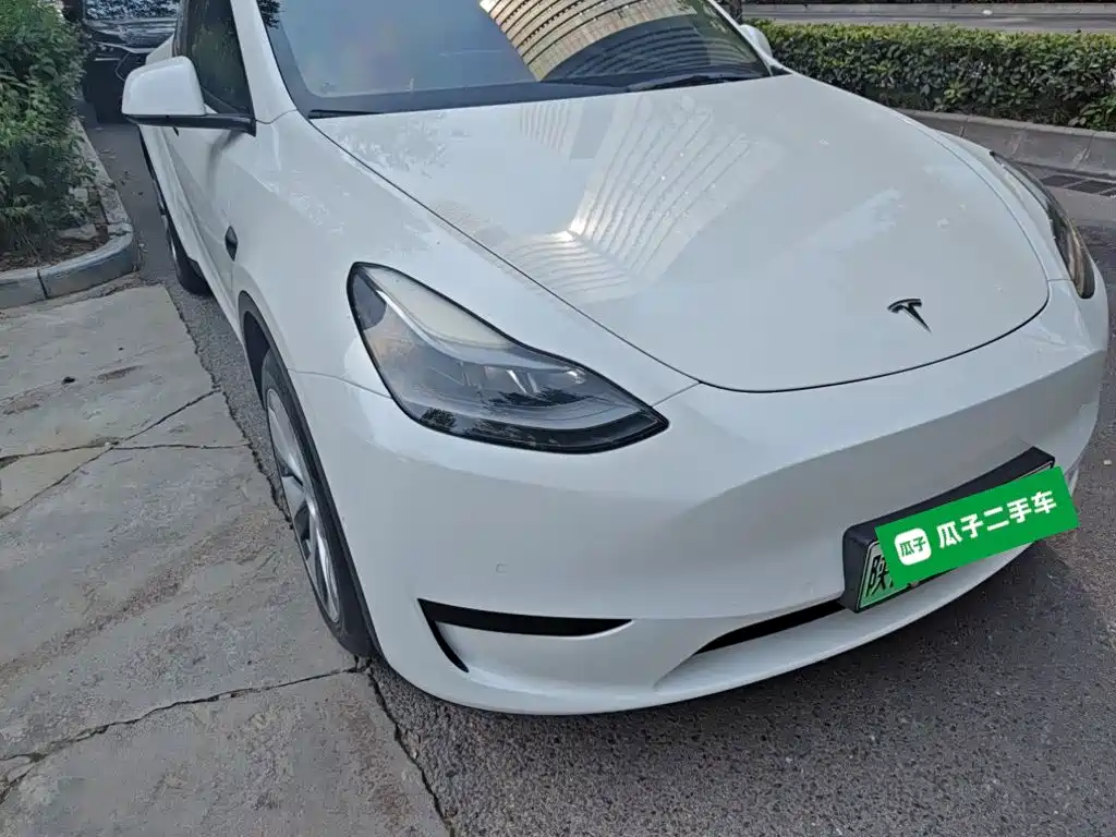 Tesla Model Y — миниатюра 7