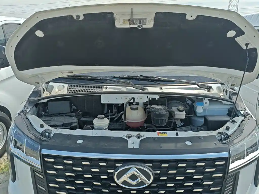 Maxus V80 — миниатюра 20