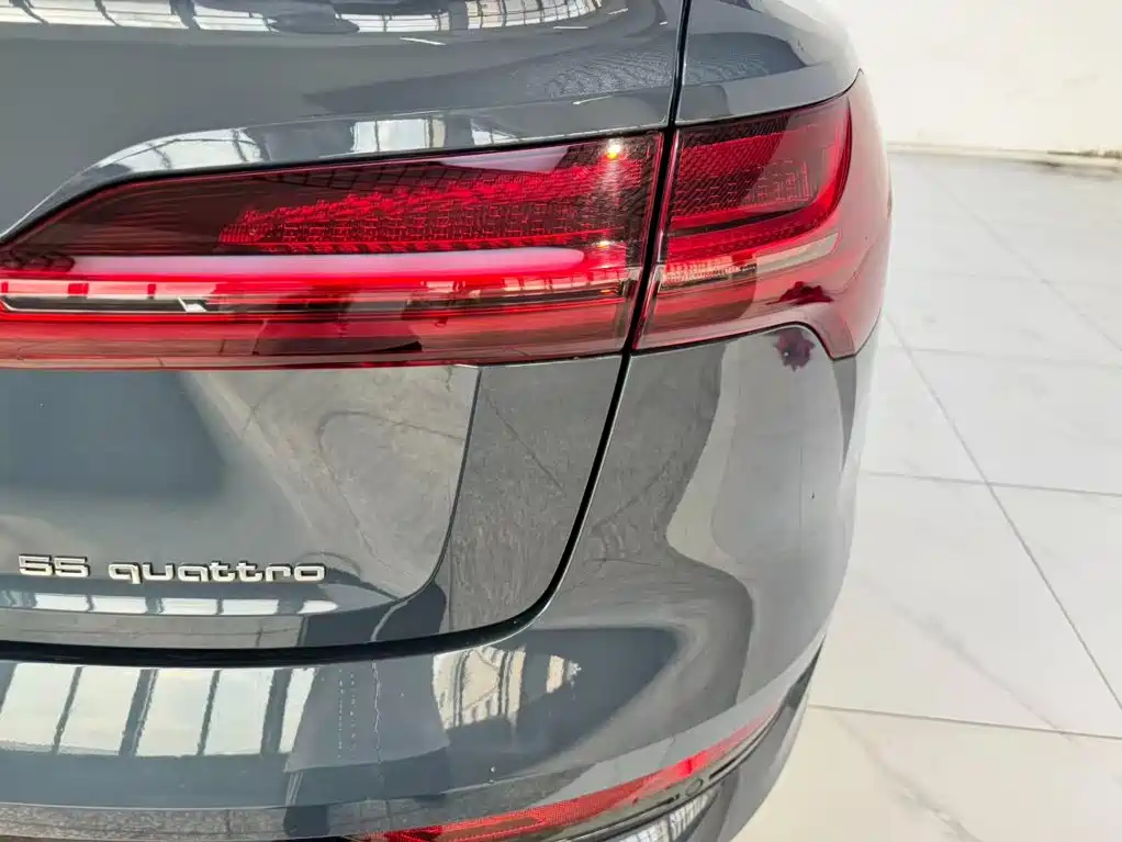 Audi e-tron (Import) — миниатюра 19