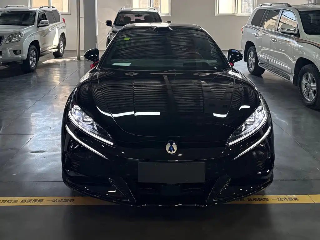 Denza Z9GT