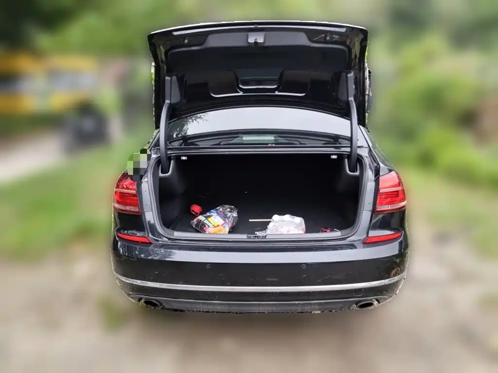 Volkswagen Passat — миниатюра 10