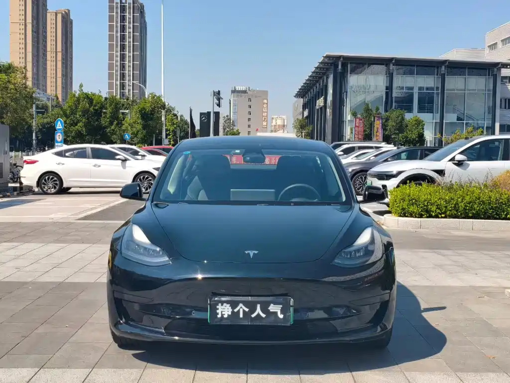 Tesla Model 3 — миниатюра 2