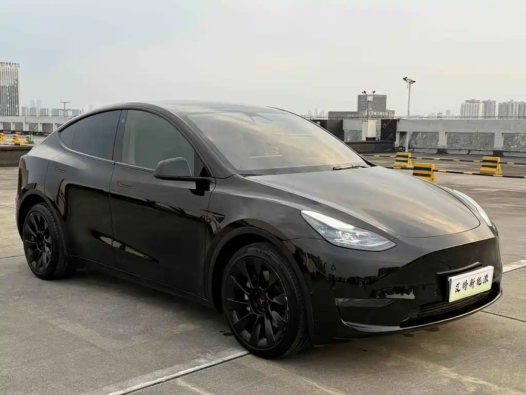 Tesla Model Y — миниатюра 3