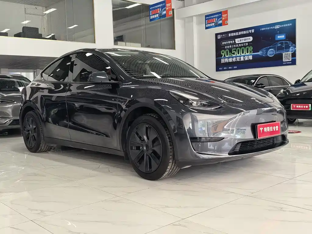 Tesla Model Y — миниатюра 3