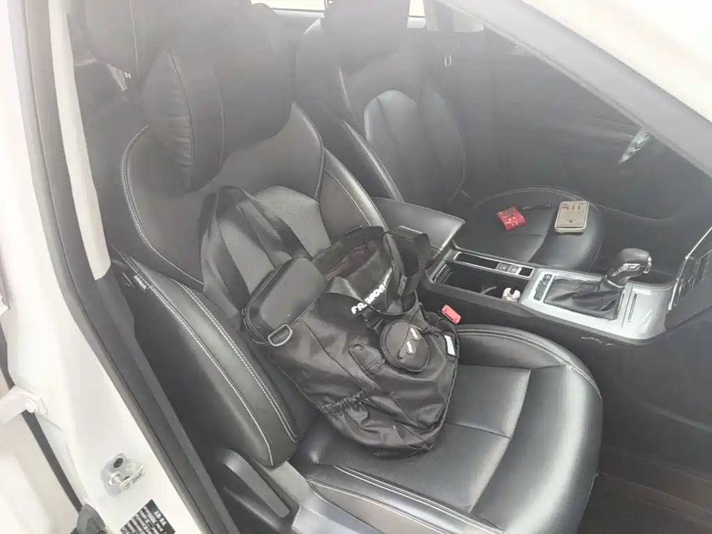 Roewe RX5 — миниатюра 25
