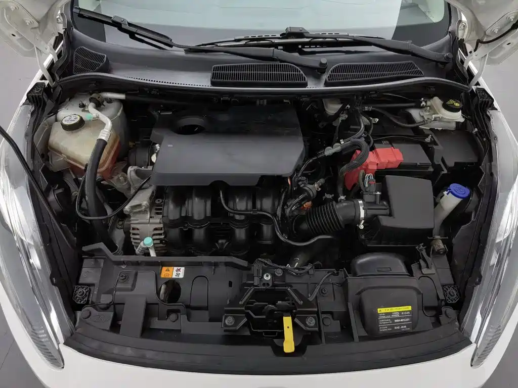 Ford Fiesta — миниатюра 6