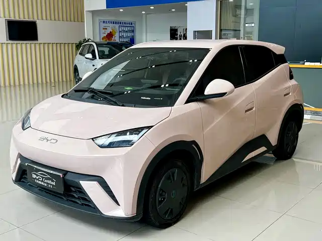 2024 BYD Seagull
