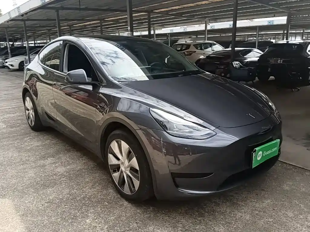 Tesla Model Y — миниатюра 4