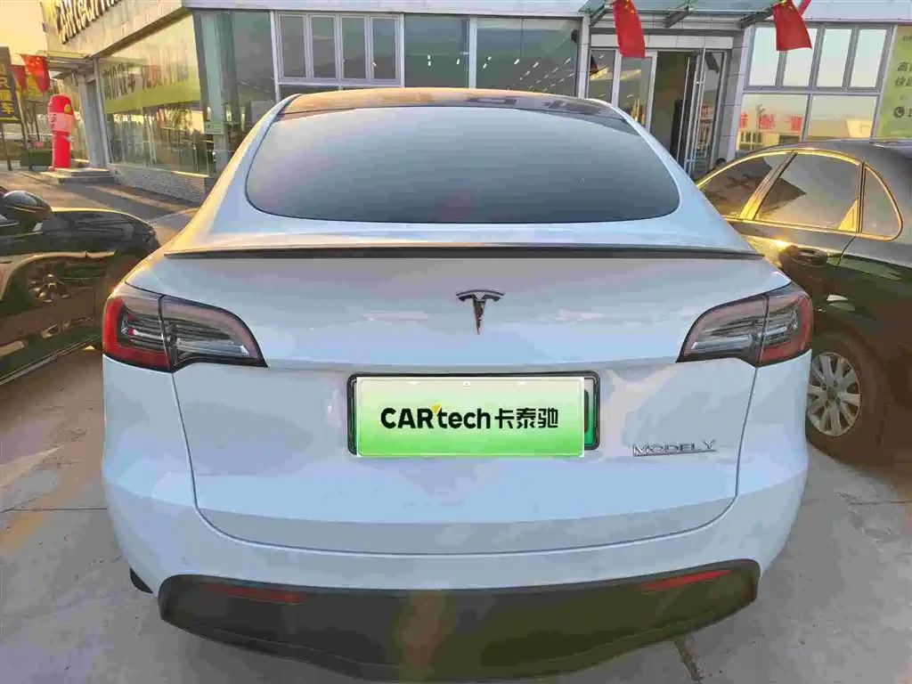 Tesla Model Y — миниатюра 2