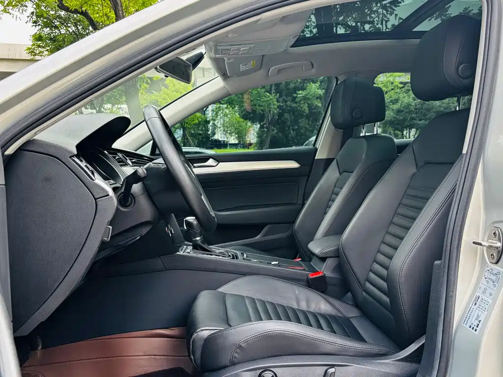 Volkswagen Magotan 2019 330TSI DSG Lead VI