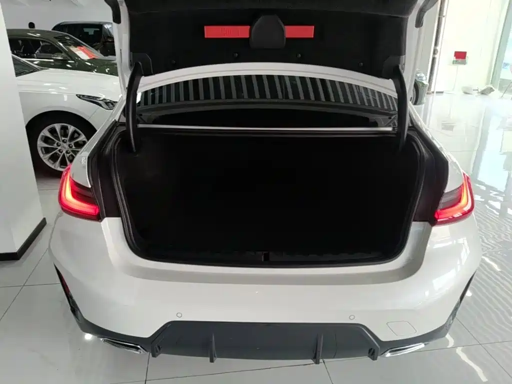 BMW 3 Series — миниатюра 19