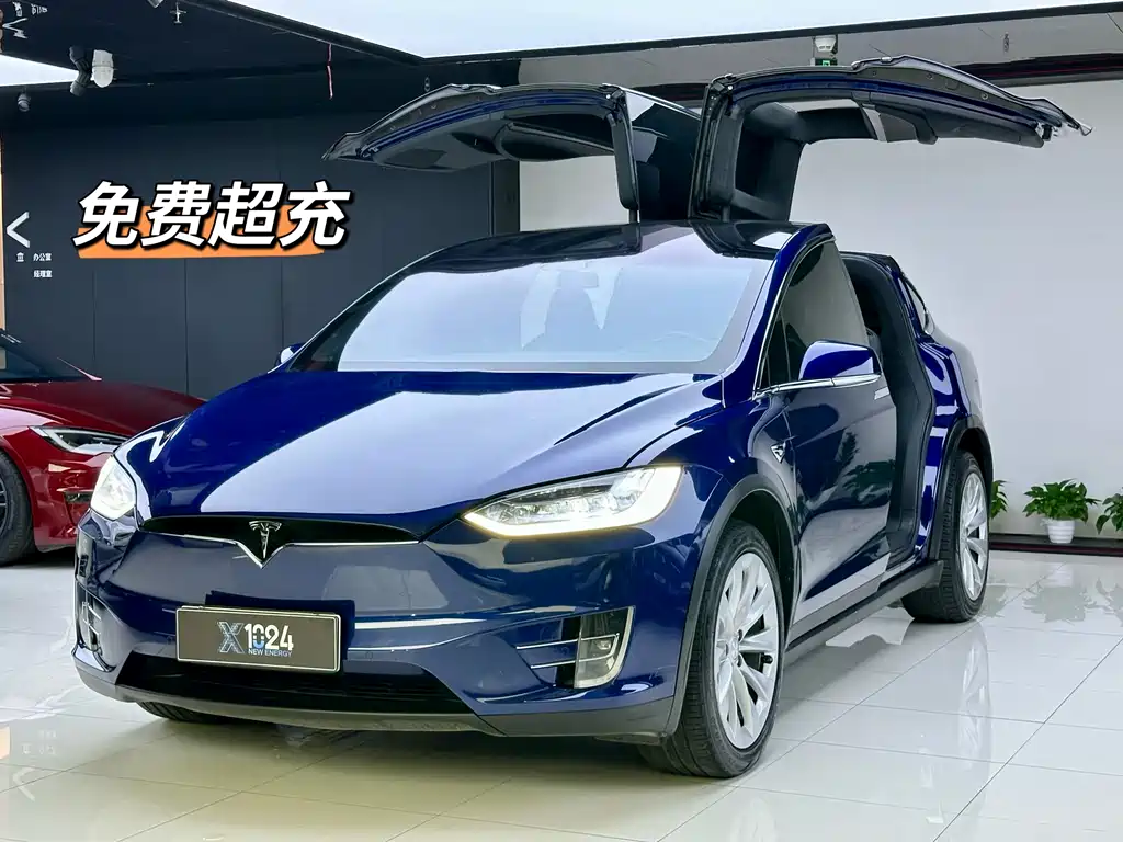 TESLA MODEL X