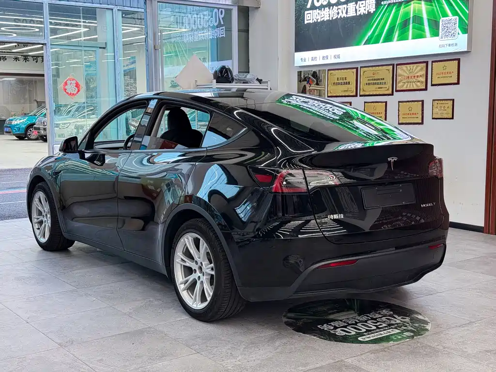 Tesla Model Y — миниатюра 5