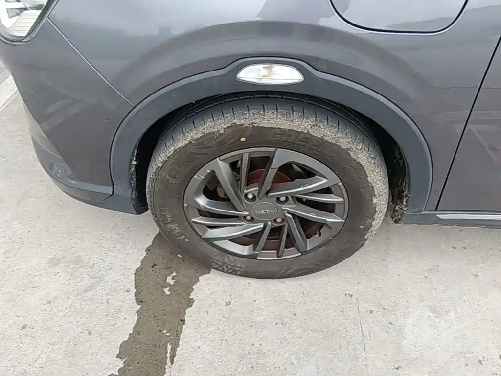 Neta Neta V — миниатюра 23