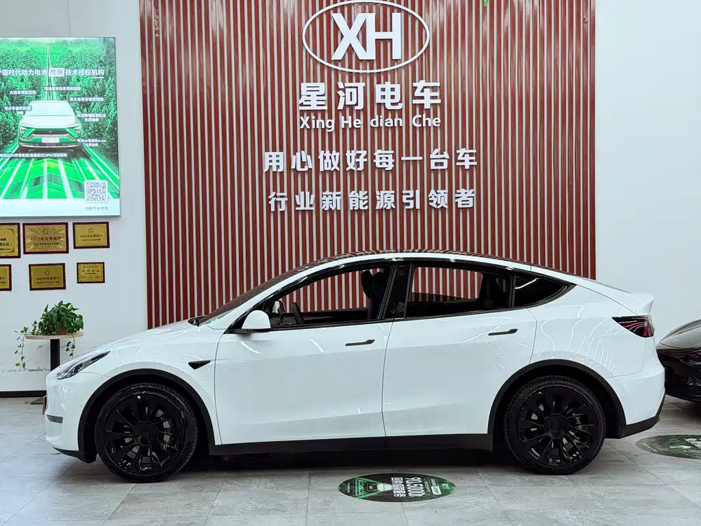 Tesla Model Y — миниатюра 4