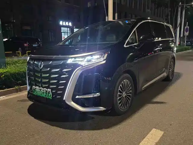 2024 Denza D9