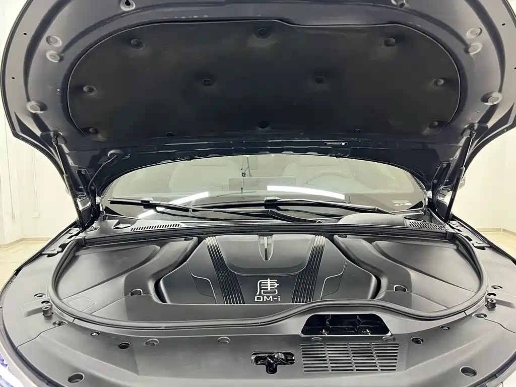 BYD Tang New Energy — миниатюра 17