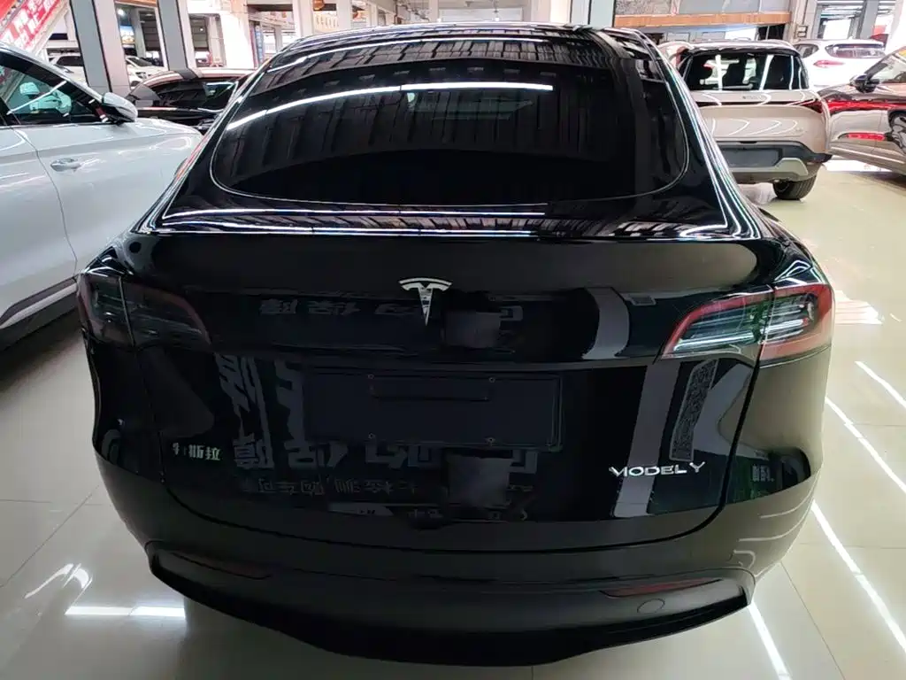 Tesla Model Y — миниатюра 6