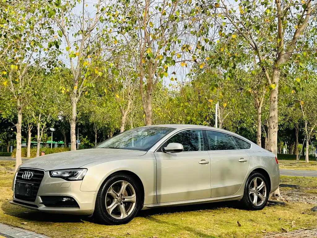 Audi A5 (Import) 2013