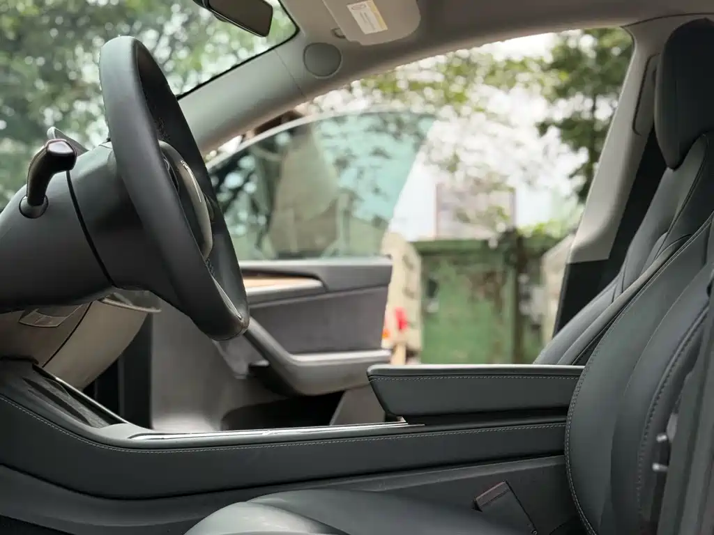 Tesla Model Y — миниатюра 10