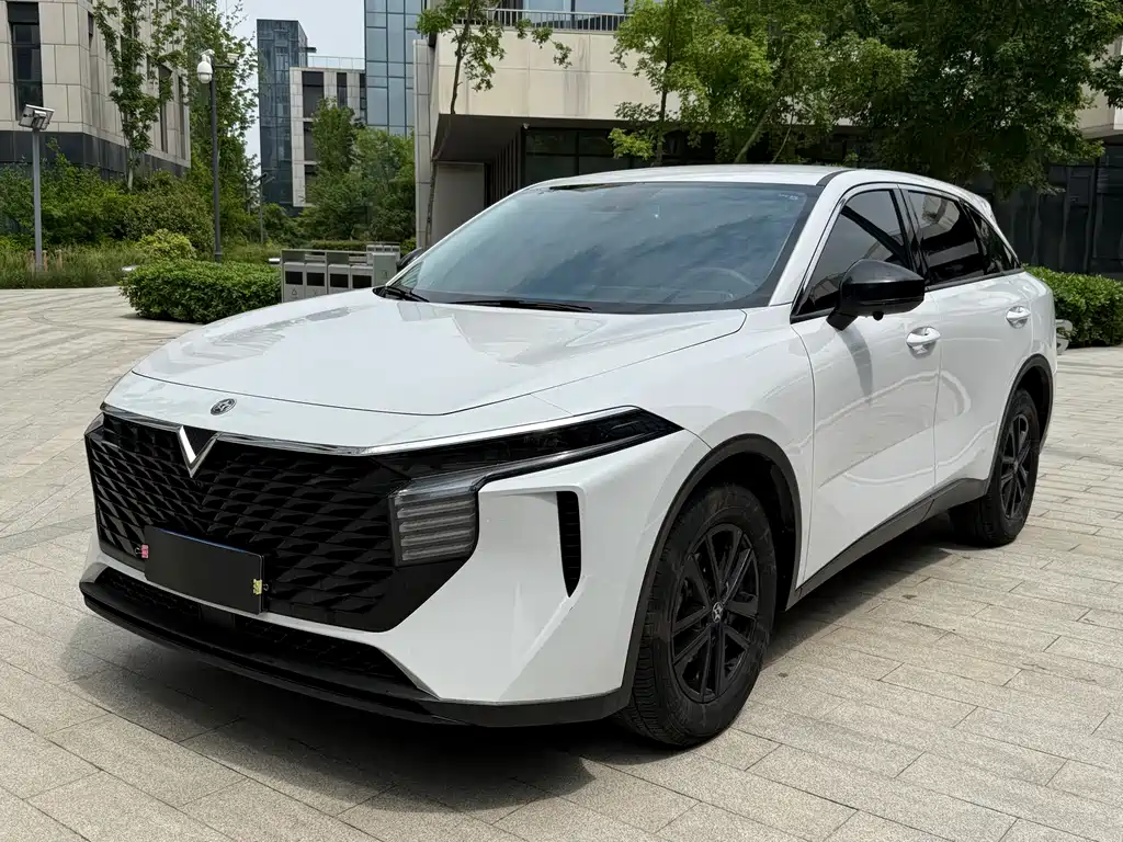 Venucia V 2023