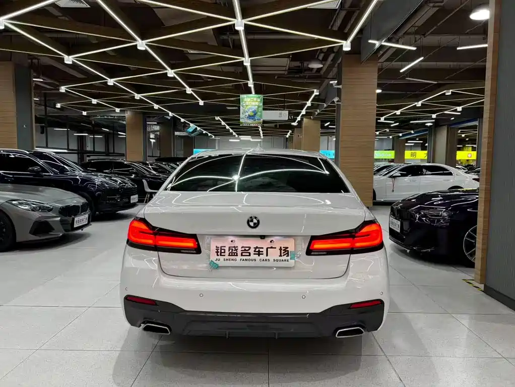 BMW 5 Series (Import) — миниатюра 13