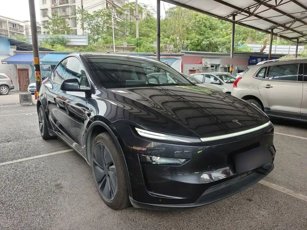 Tesla Model Y — миниатюра 4