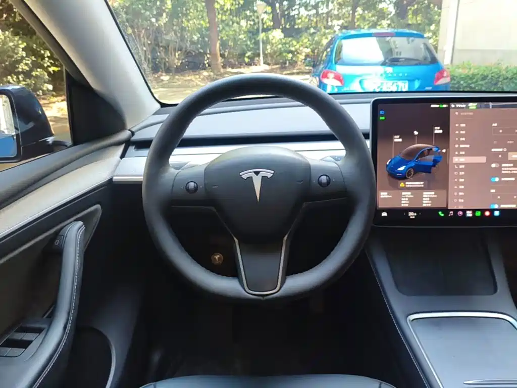 Tesla Model Y — миниатюра 11