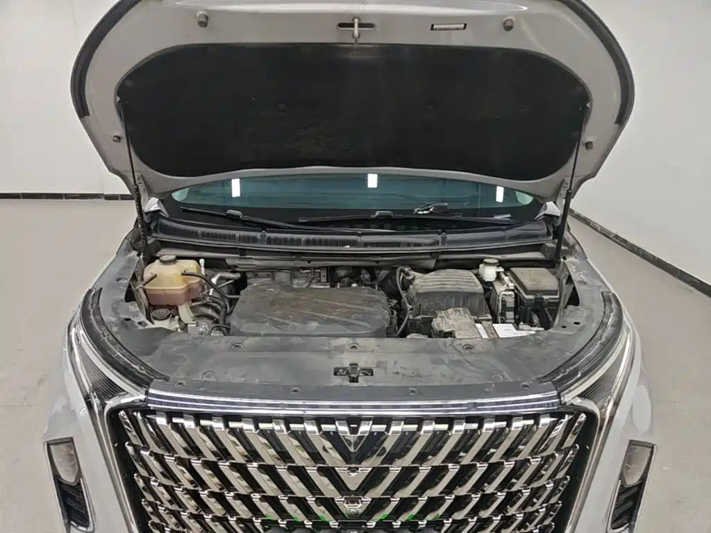 MAXUS G90 — миниатюра 20