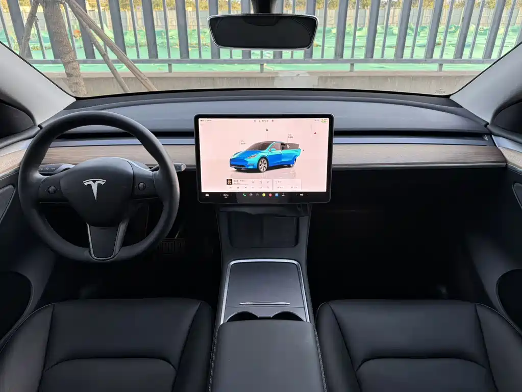 Tesla Model Y — миниатюра 7