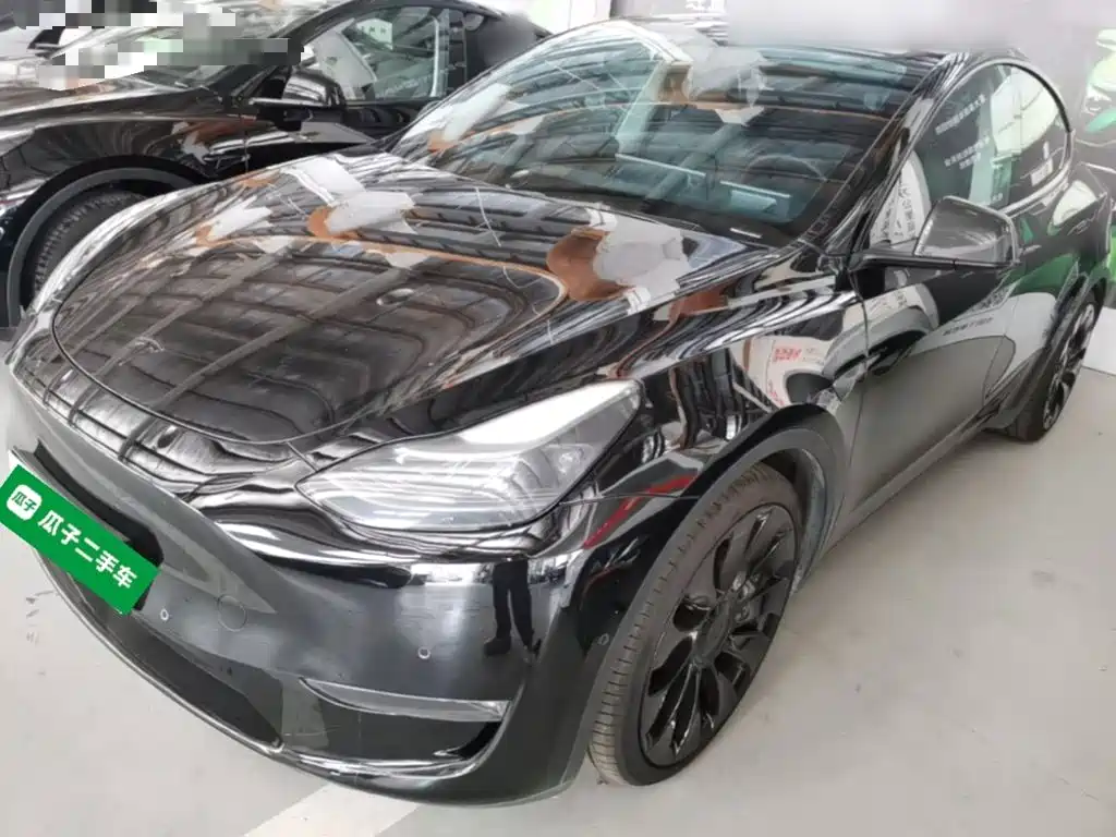 Tesla Model Y — миниатюра 2